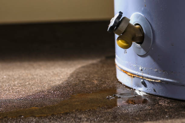 Best Water damage restoration near me  in Duson, LA