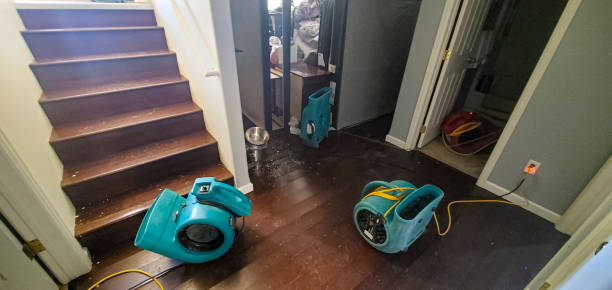 Best Residential water damage restoration  in Duson, LA