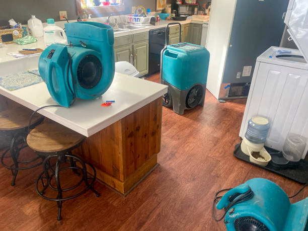 Best Flooded house restoration  in Duson, LA