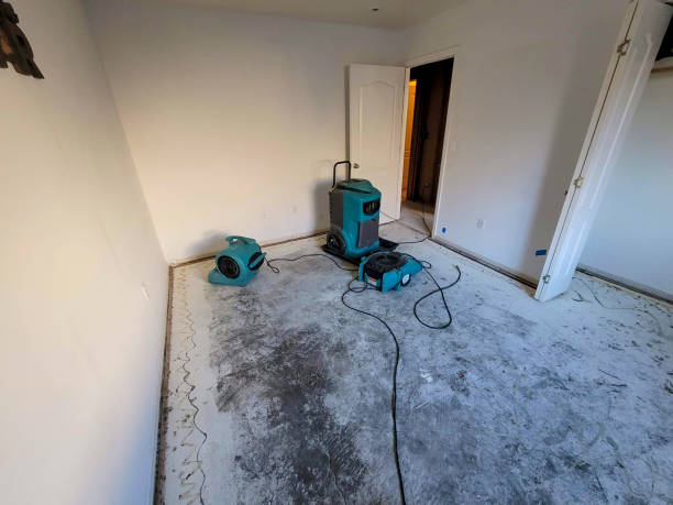 Best 24-hour water damage restoration  in Duson, LA