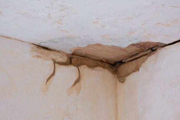 Best Residential water damage restoration  in Duson, LA