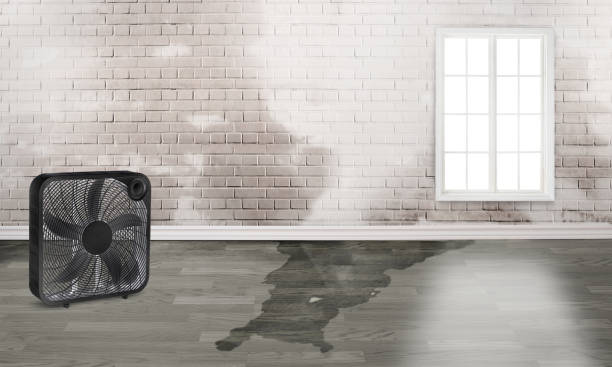 Best Emergency water damage restoration  in Duson, LA