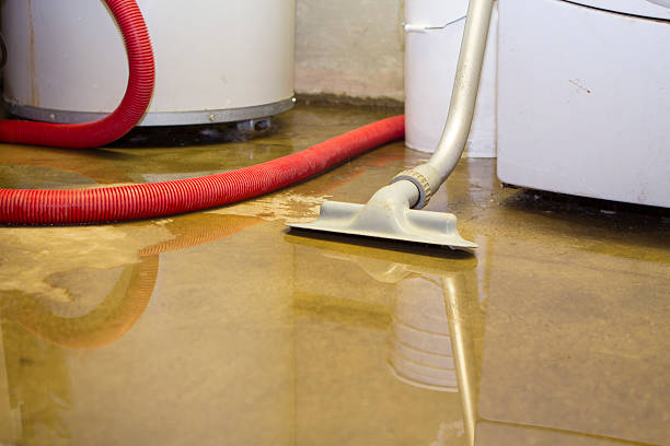 Best Carpet water damage restoration  in Duson, LA