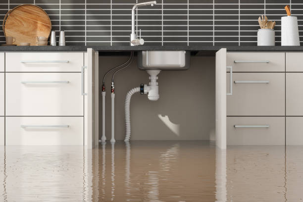 Best Ceiling water damage repair  in Duson, LA