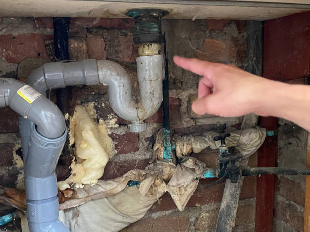 Best Water damage cleanup near me  in Duson, LA