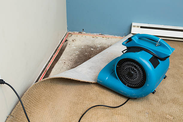Best 24/7 water damage repair  in Duson, LA